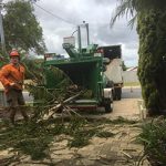 Alfred Cove - Tree Services