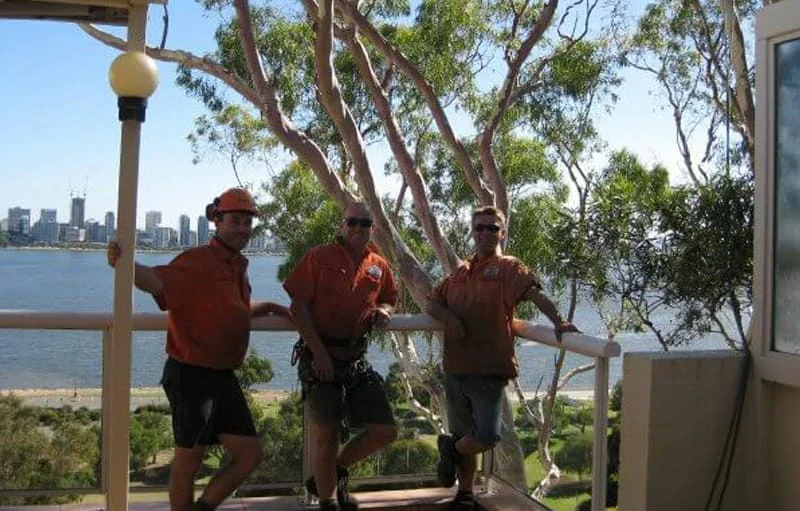 The Tree Firm - Property Clearance