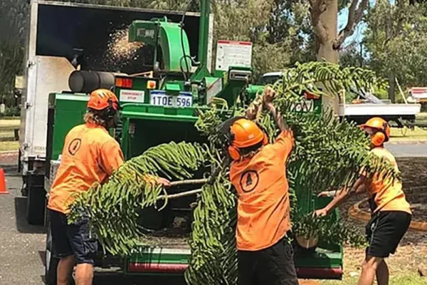 Bandit 1890XP will be arriving mid-July from America